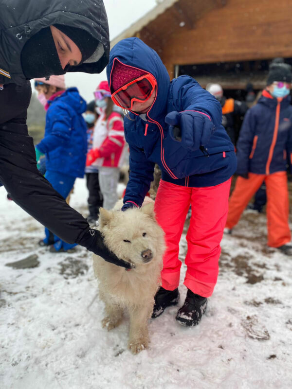 Photo d'une jeune fille avec un chien de traineau à Aussois en Savoie
