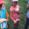Sortie dans les Alpages
