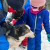 Les enfants caresse des chiens