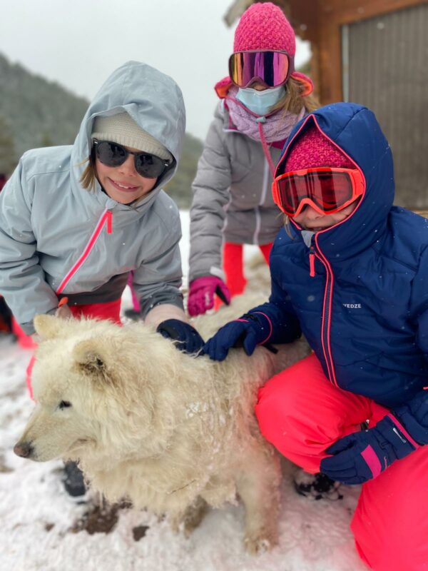Trois enfants avec un chien de traineau lors de l'activite Cani-rando propose par la colo Neige et Soleil