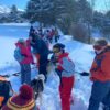 Cani rondo dans la neige