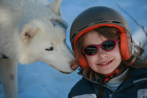 Séjour immersif dans la peau d'un meneur de chiens de traineau pour les enfants de 7 à 11 ans