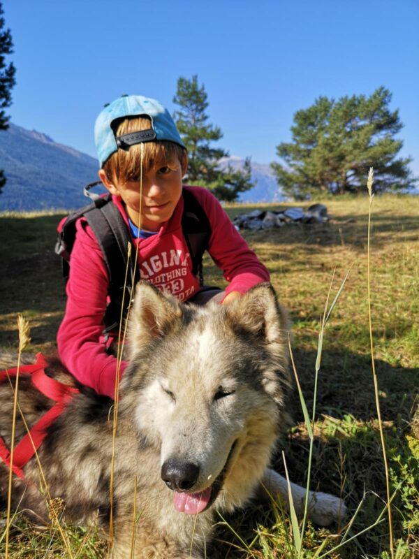 Jeune garçon avec un chien de traineau en plein sejour Cani rando