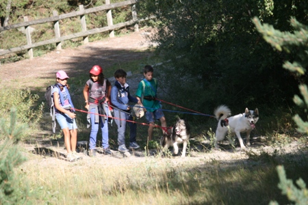 Stage musher // Stage enfants et ados 8 à 16 ans // Kolyma Chiens