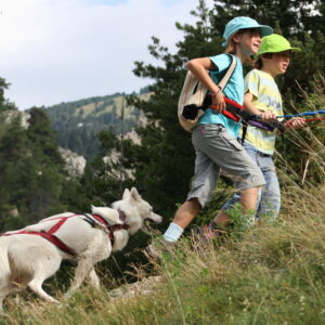 canirando petits mushers colonie ete