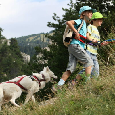 Les P’tits Mushers – cani rando chiens de traineaux