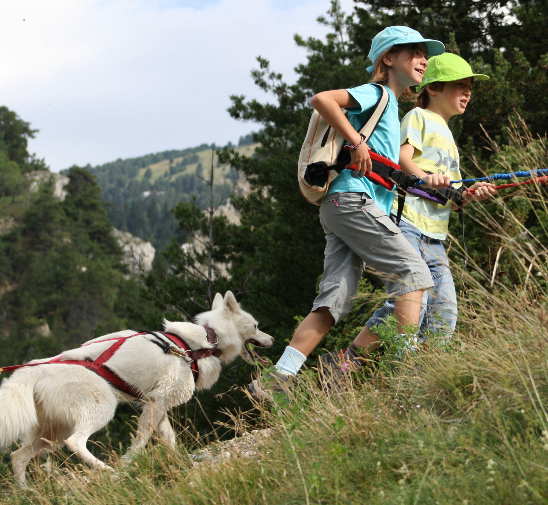 Les P’tits Mushers – cani rando chiens de traineaux