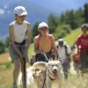 Cani-rando parc de la Vanoise