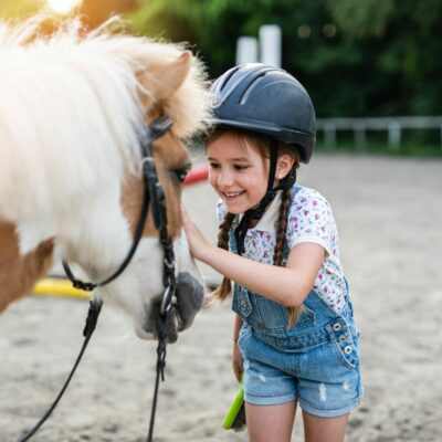 Poney Shetland