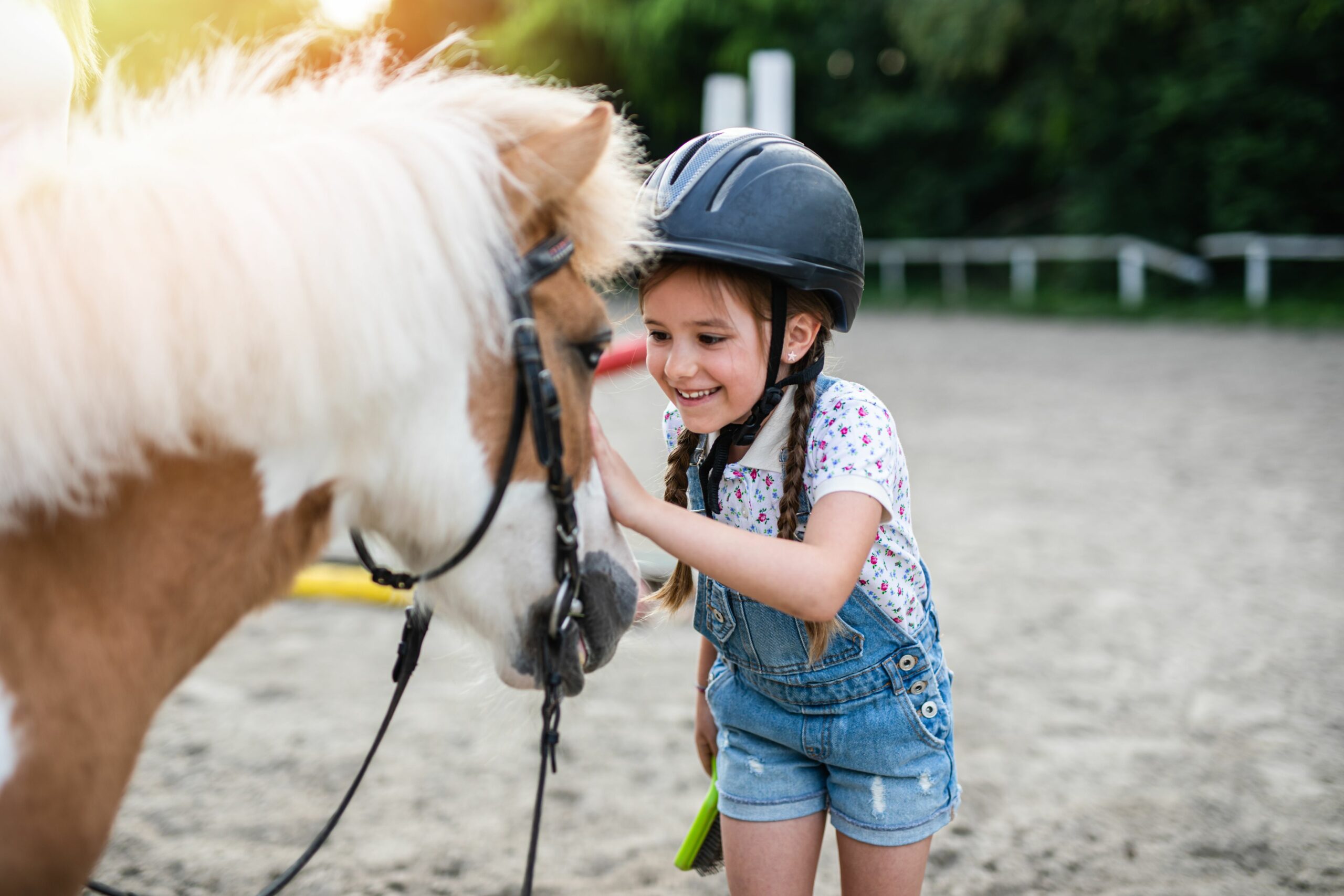 Poney Shetland