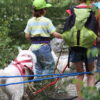 Programme cani-rando