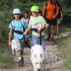 Sortie cani-rando en haute Maurienne