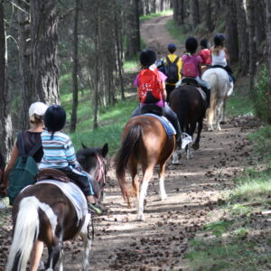 Groupe d'enfants en balade d'ete à poney dans la montagne au centre de vacances neige et soleil