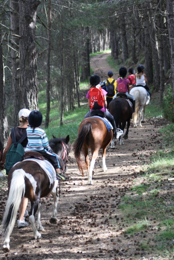 Groupe d'enfants en balade d'ete à poney dans la montagne au centre de vacances neige et soleil