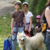 Cani randonnée dans le Parc de la Vanoise