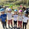 Poney Shetland – Image 5