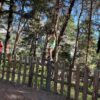 Deux enfants en plein parcours d'accrobranche au Parc du Diable en Savoie