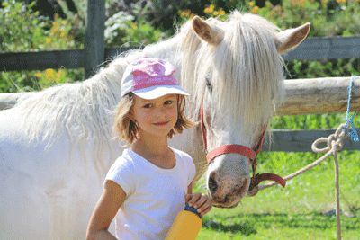 Poney Shetland