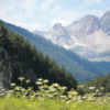 Montagne et Patrimoine de Haute Maurienne - classe de découverte – Image 7