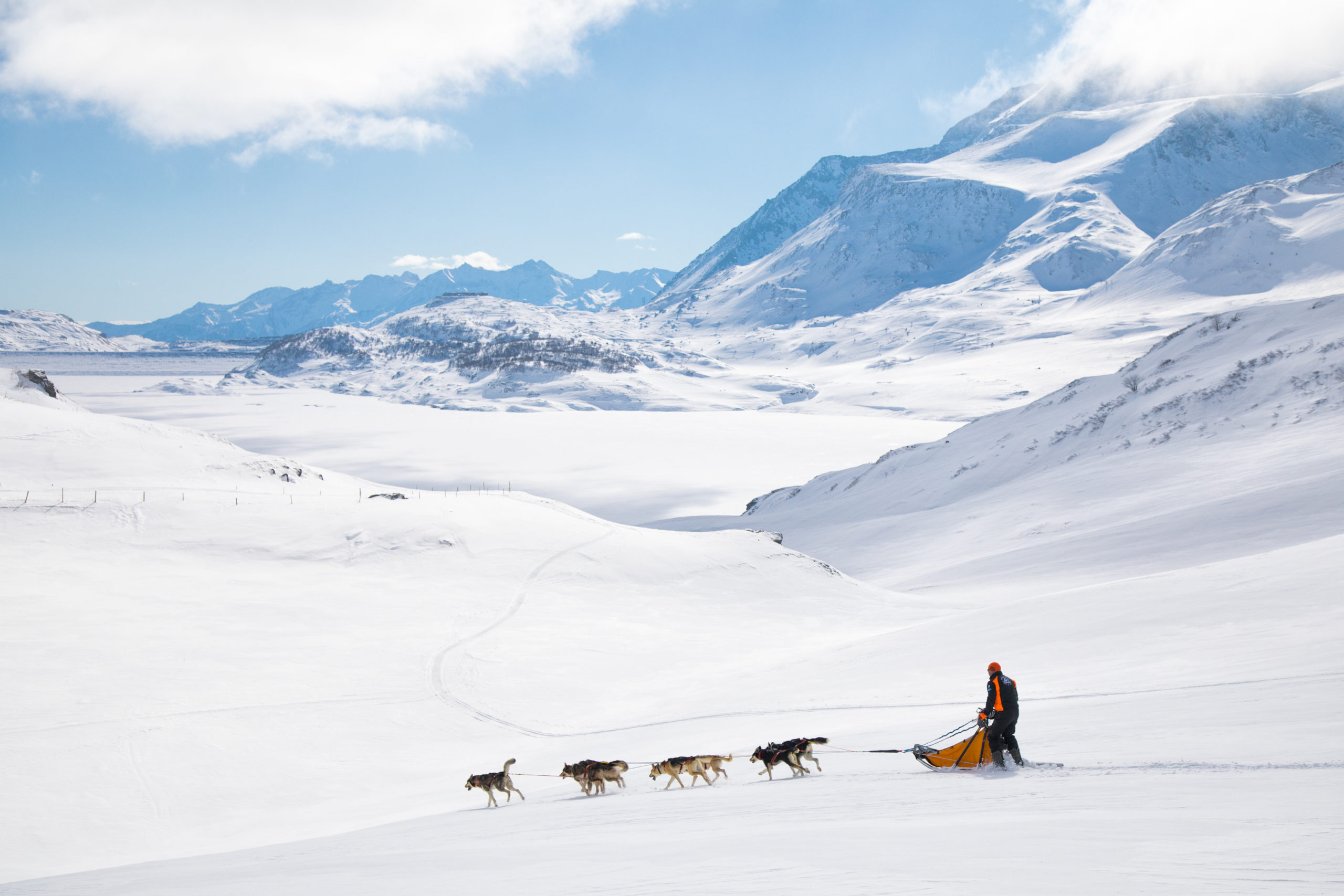 2020 NoÃƒÂ«l Au Soleil Ou Sous La Neige