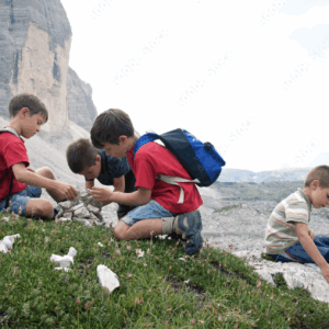 Découverte de la montagne